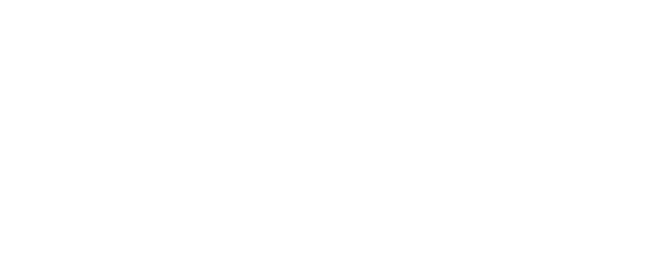 Certificate icon